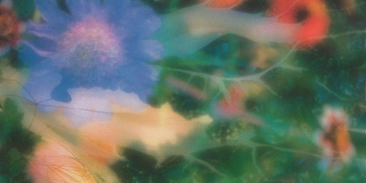 img_rosarioarce_SEO_001